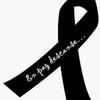 m_rocha68